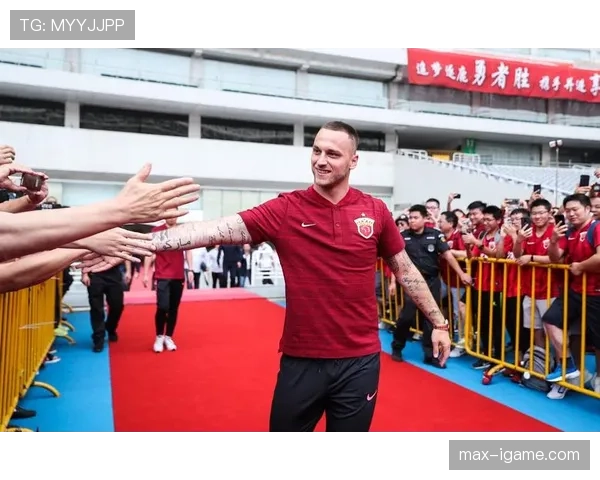 阿瑙托维奇职业生涯回顾：从奥地利天才到国际舞台明星表现逐步提升